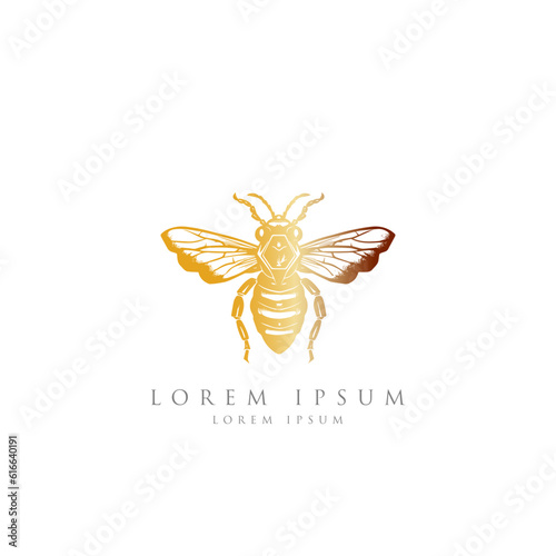 bee logo vector minimalist graphic vector. Honey bee logo. Hand drawn engraving style illustrations.