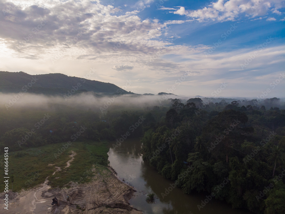 Aerial view tropical green tree forest with river marning sunrise