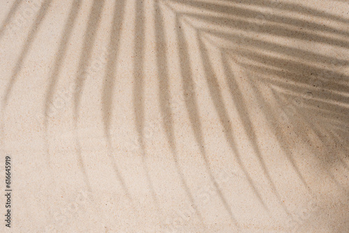 Abstract palm shade background on sandy beach.