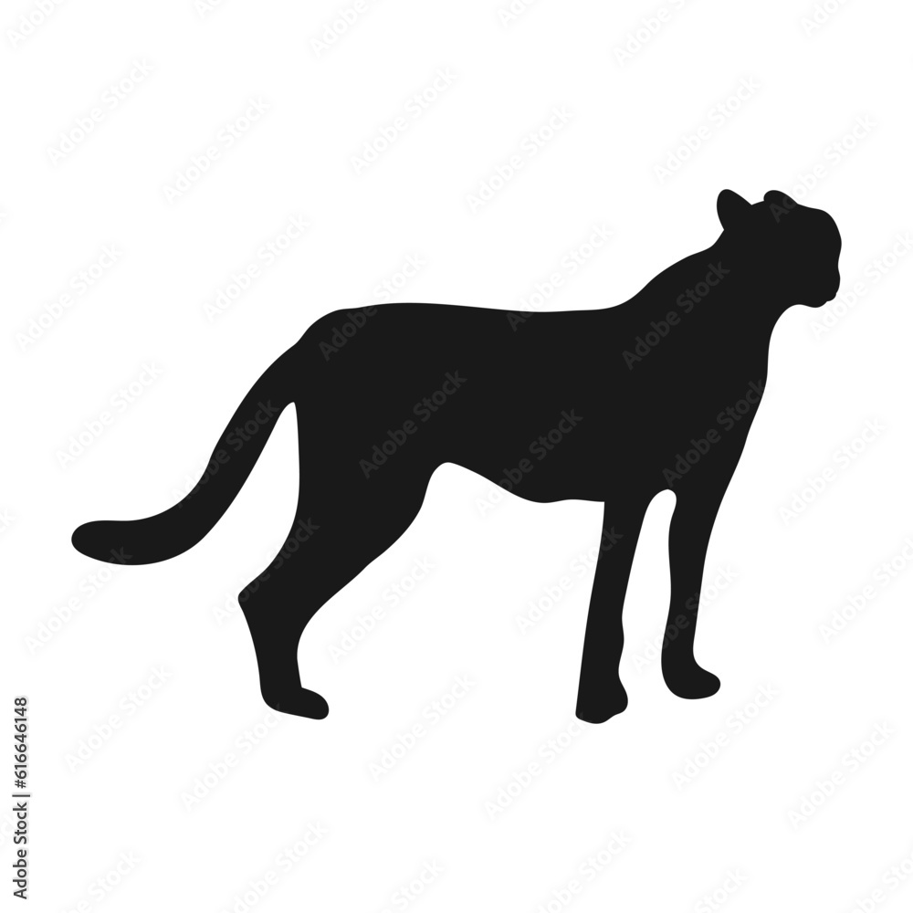 Cheetah. Isolated icon on a white background