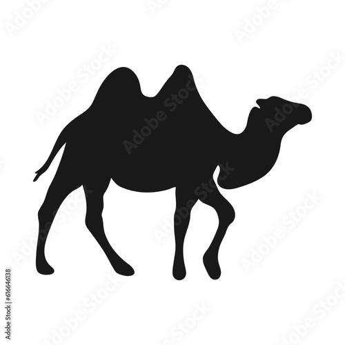 Camel. Isolated icon on a white background
