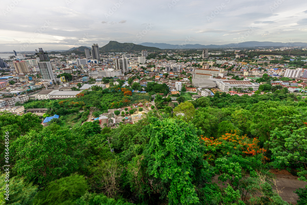 natural background of many species of plants that are laid out in the park, for the propagation of the species and to provide shade for those who stop by while traveling to study the ecology.