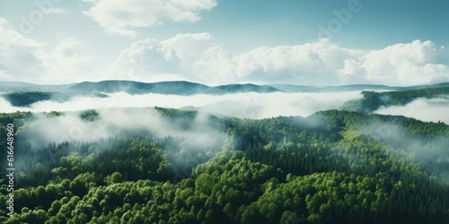 Unveiling Nature's Tapestry: Stunning Drone Photography of Green Woodlands, Cloud-Adorned Canopies, and Tranquil Lakes. Generative AI