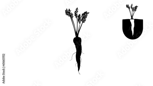 Carrot root silhouette