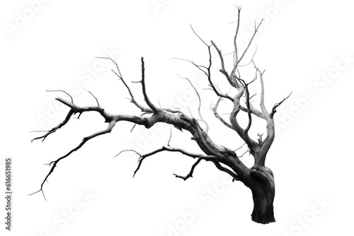 Dead Tree Isolated on a Transparent Background. AI