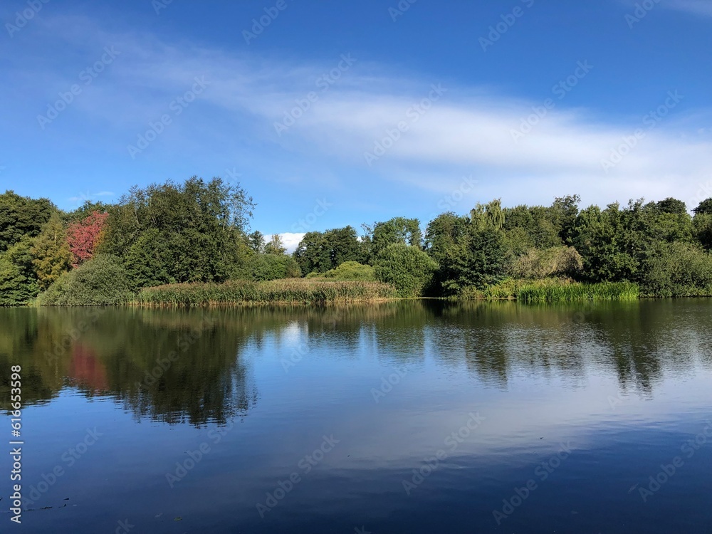 lake in the forest lake in the forest