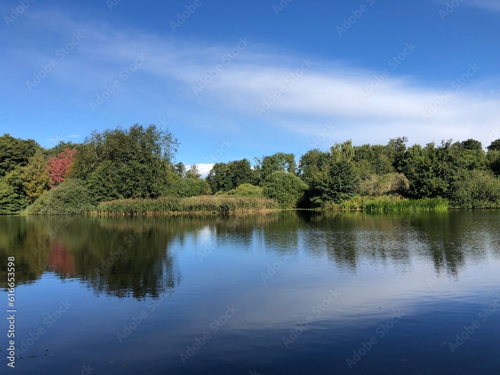 lake in the forest