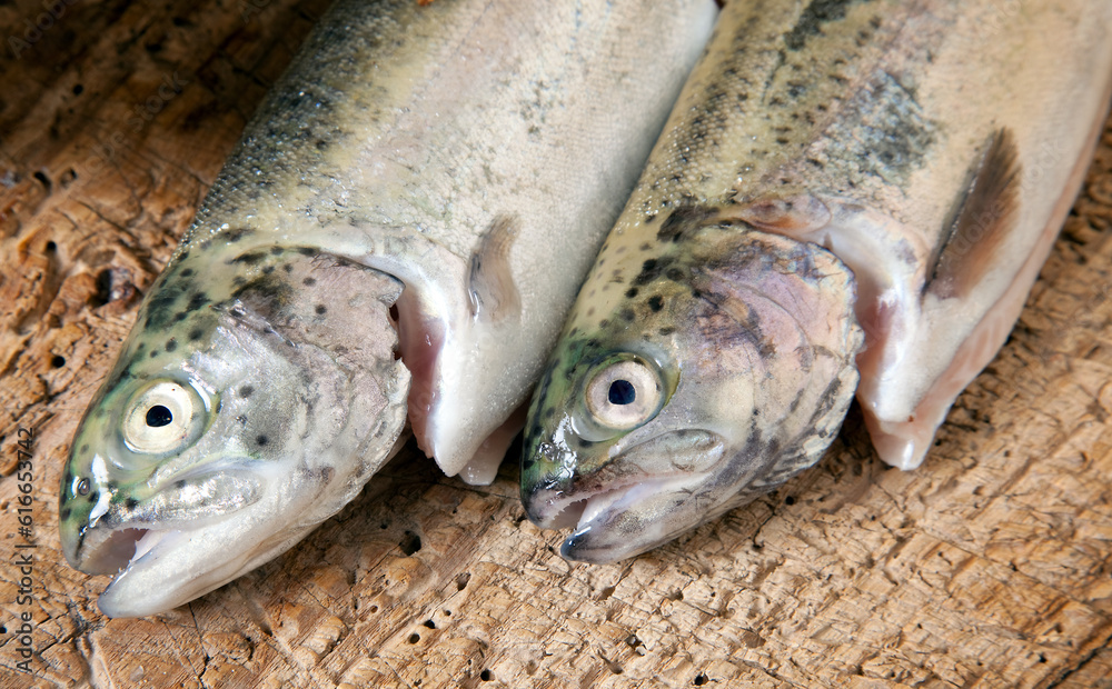 Raw trout Raw trout