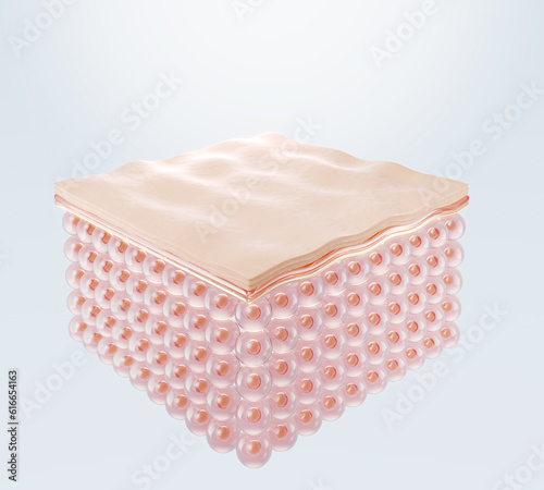 Fototapeta Naklejka Na Ścianę i Meble -  saggy skin or dry skin layer, human skin cells, 3d rendering.