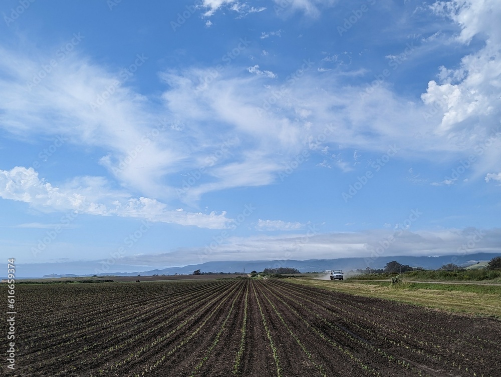 plowed field and blue sky along Cowell-Purisima Trail, Northern California