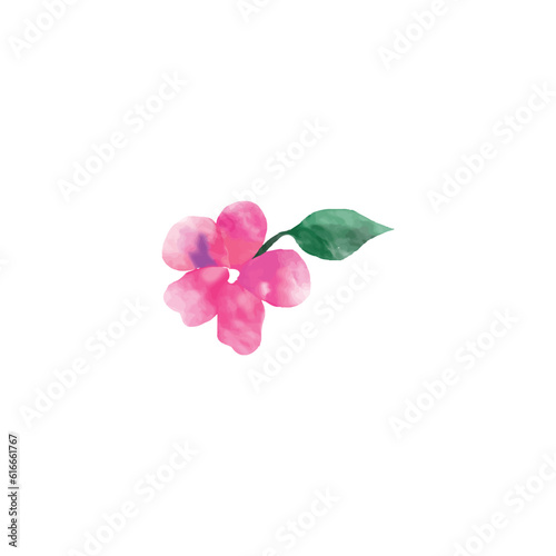 watercolor pink orchid isolated on white background