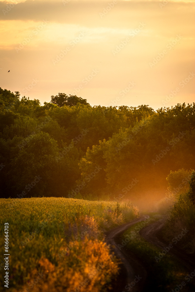 Fototapeta premium sunrise in the countryside