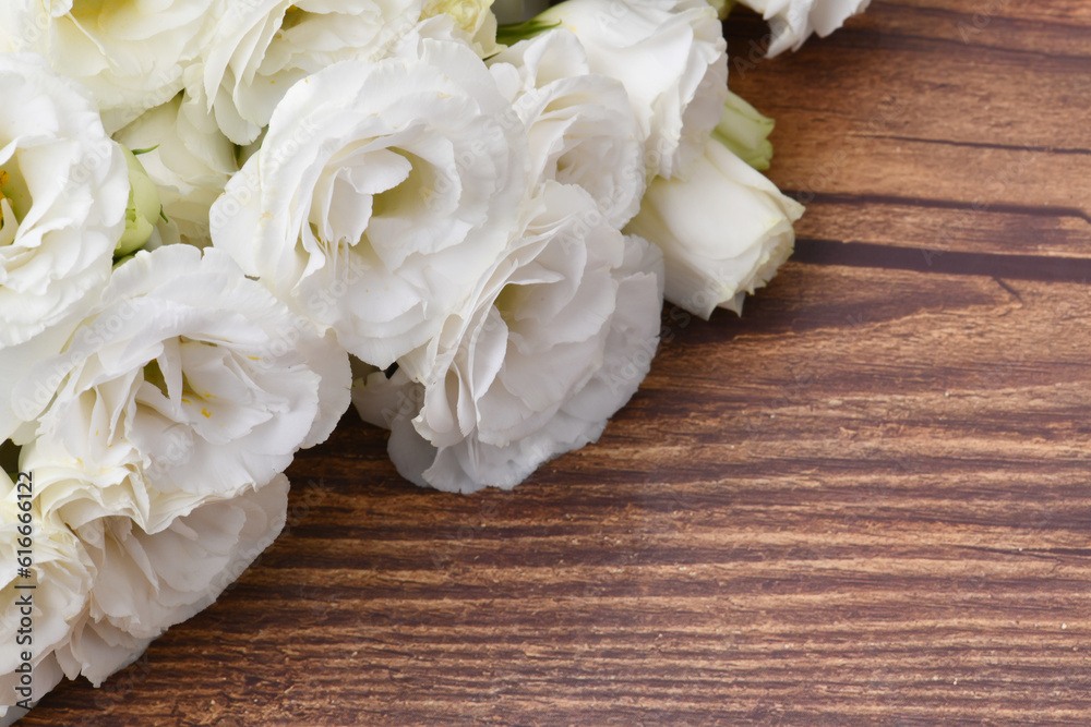 Lisianthus Beautiful white flower background Lisianthus Beautiful white flower background
