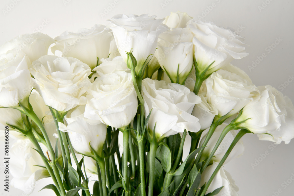 Lisianthus Beautiful white flower background Lisianthus Beautiful white flower background