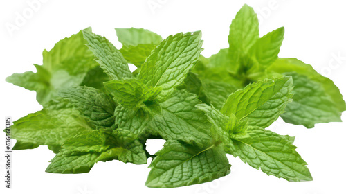 Mint leaves isolated on transparent background. Generative AI.