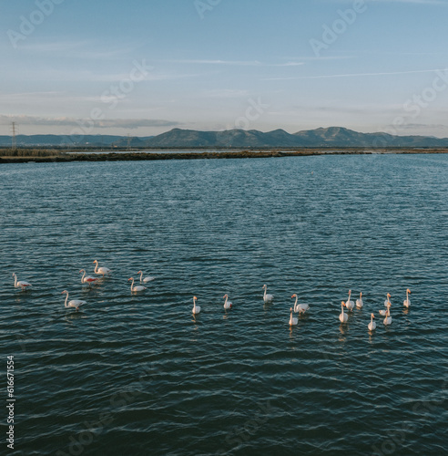 Flamingos in den Salzfeldern von Sant`Antioco auf Sardinien. Flamingo´s auf einem See bei Sonnenuntergang und Hügel im Hintergrund. Drohne 1 © Marlon