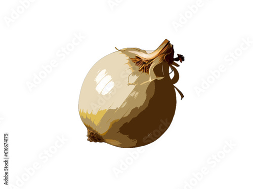 onion isolated on white