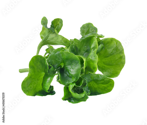 Watercress transparent png