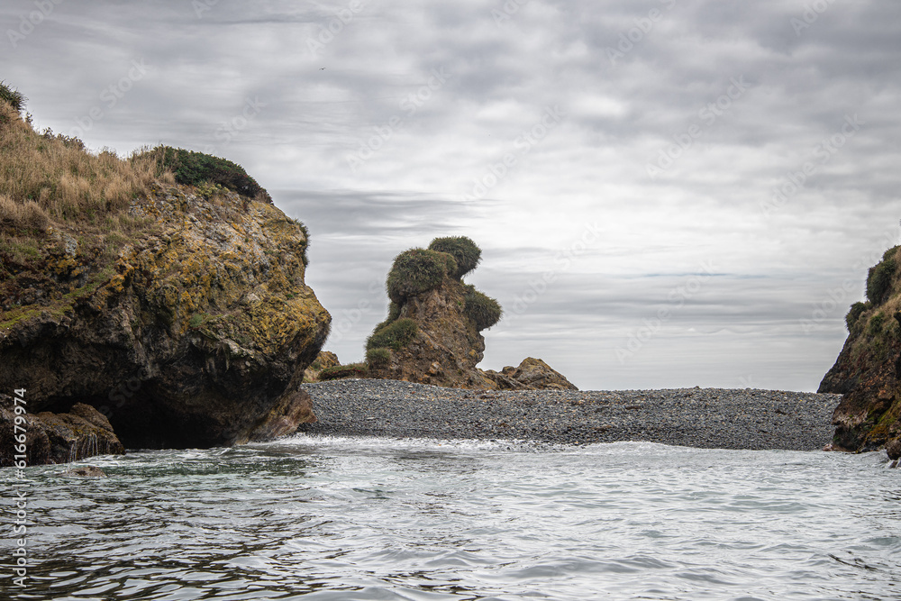 curious bear-shaped rock on the coast of punihuil chiloe chile