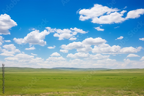 photo of blue sky and green steppe style 3