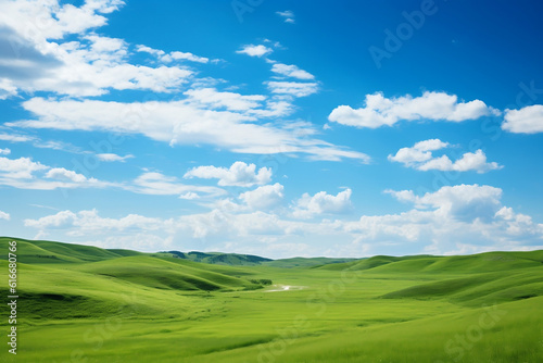 photo of blue sky and green steppe style 4