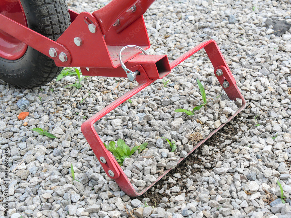 Weeding of gravel by hoeing, using a wheel hoe. Focus on hoeing principle. Weeding of gravel by hoeing, using a wheel hoe. Focus on hoeing principle.