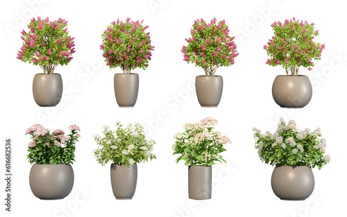 Set of hidrangea in pot in 3d rendering isolated on white background