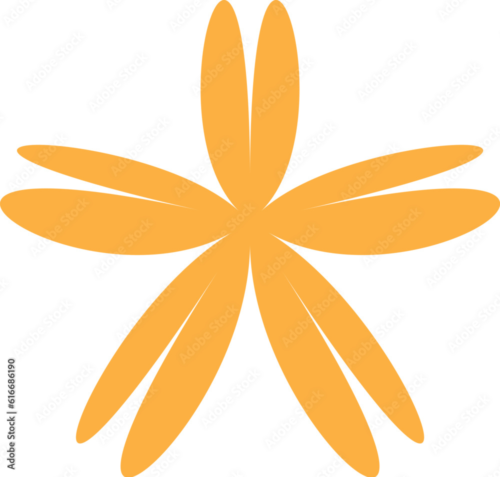 orange flower isolated on white orange flower isolated on white