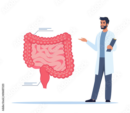 Doctor gives a training lecture about anatomy. Doctor presenting human intestine infographics. Medical seminar, lecture, healthcare meeting concept. Vector illustration.