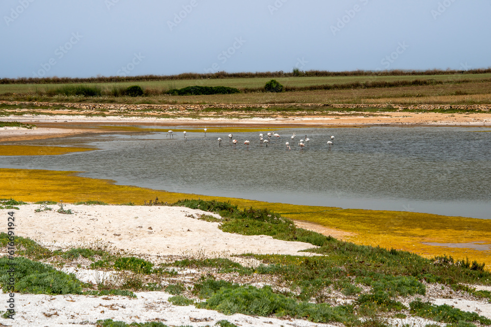 pond of Mari Ermi beach, Cabras, Oristano, Sardinia, Italy pond of Mari Ermi beach, Cabras, Oristano, Sardinia, Italy