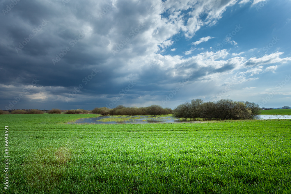 Obraz premium Dark storm cloud over a green field