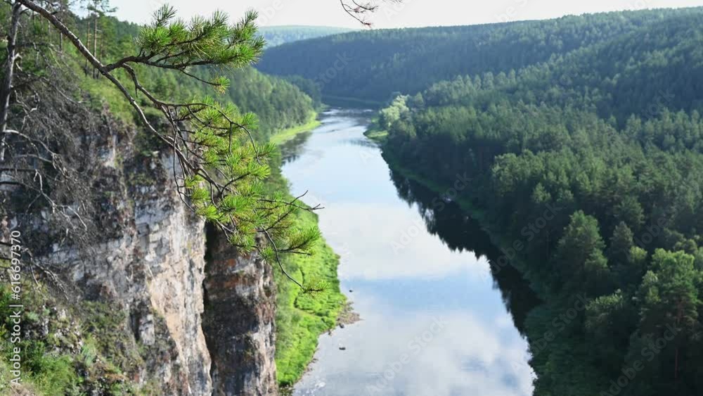Scenic view of coniferous tree branch against river on background. Nature of Ural region in Russia Scenic view of coniferous tree branch against river on background. Nature of Ural region in Russia