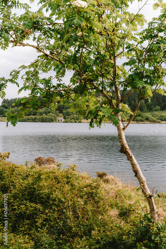 Fenworthy Reservoir photo