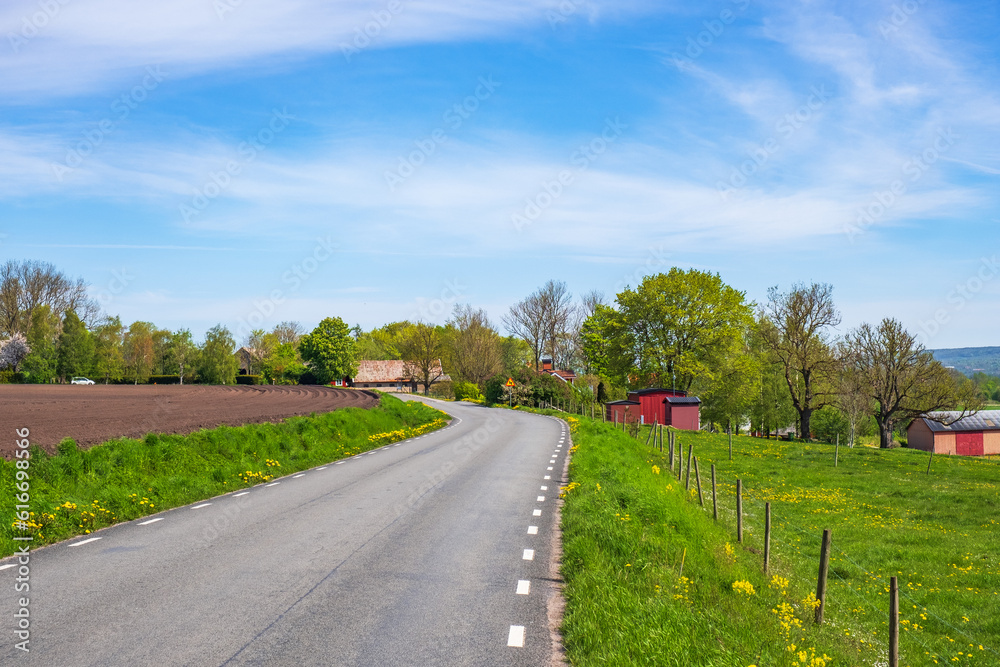 Country road in a rural landscape
