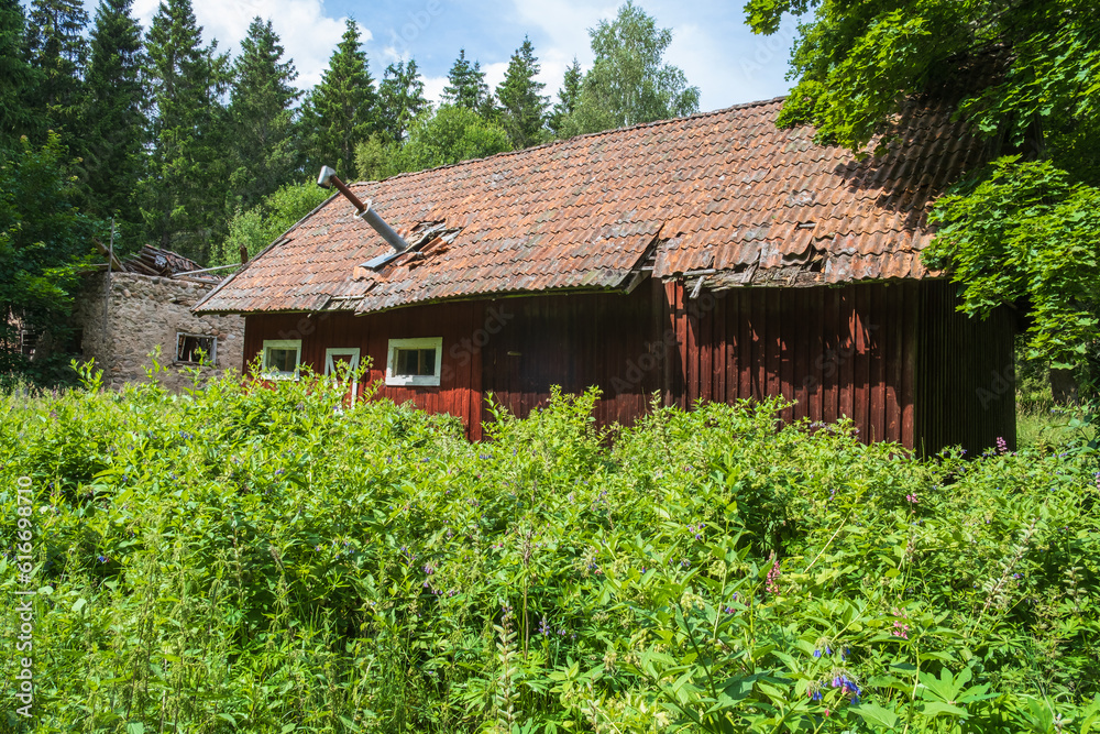 Abandoned old barn at the edge of the forest Abandoned old barn at the edge of the forest