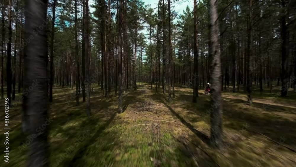 Forest Dirt Road Mountain Biking: Aerial Adventure Forest Dirt Road Mountain Biking: Aerial Adventure