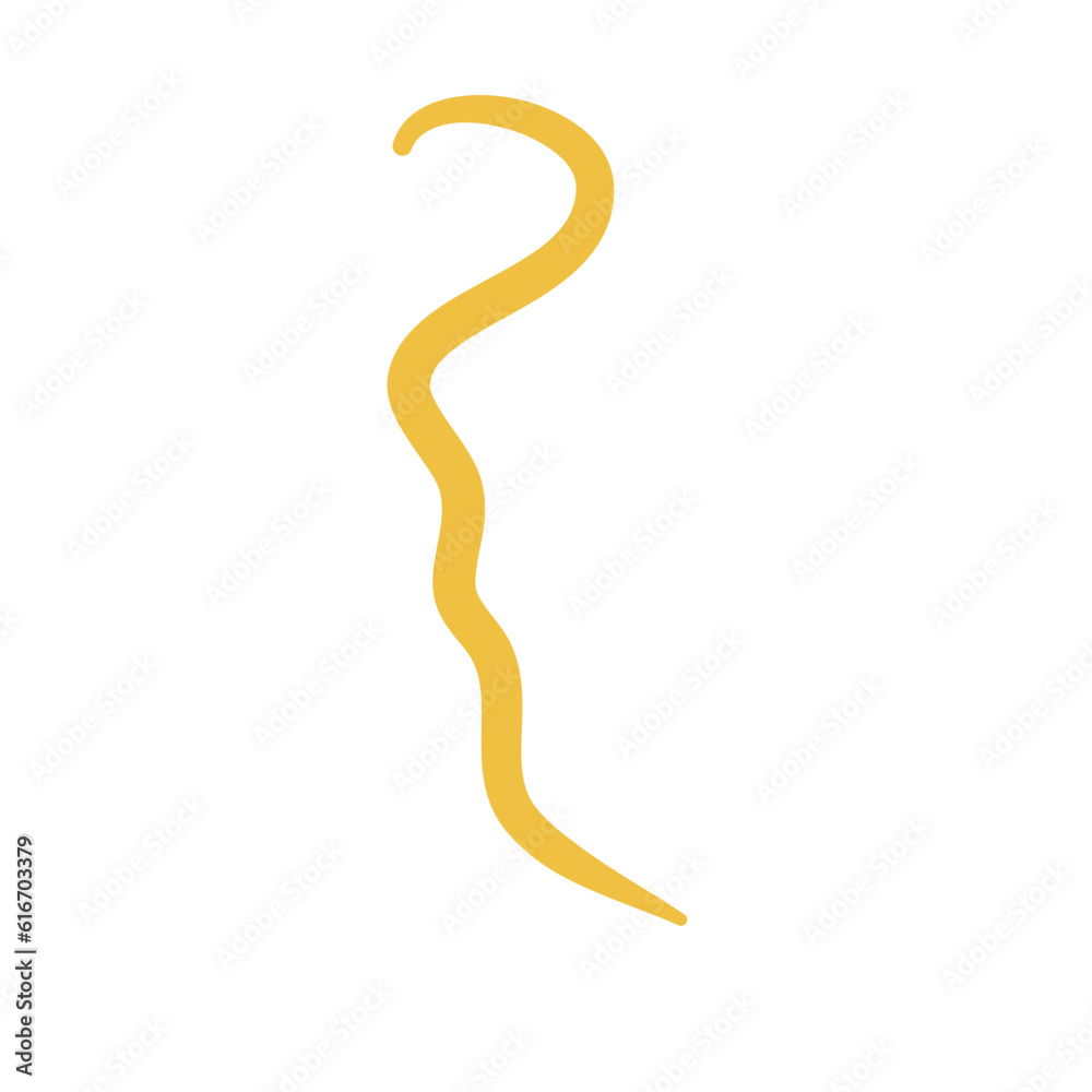 Worm Intestinal Parasite Worm Intestinal Parasite