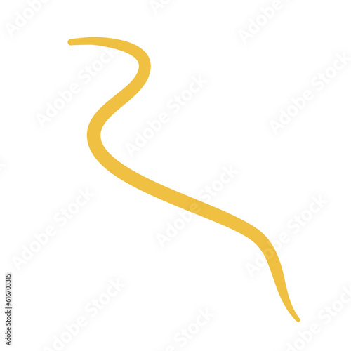 Worm Intestinal Parasite