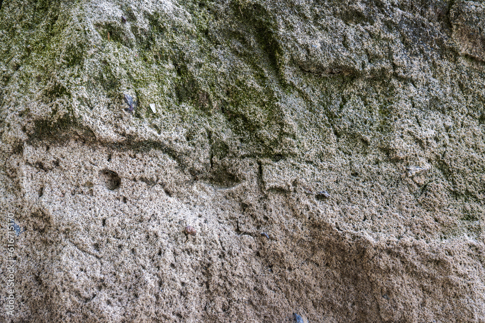 texture of gloomy heterogeneous, gray, spotty, embossed concrete on which moss sprouts