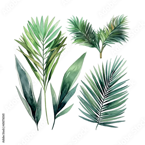 Modern exotic leave watercolor, great design for any purposes. Isolated vector element. Vector art illustration. Wedding floral decoration.