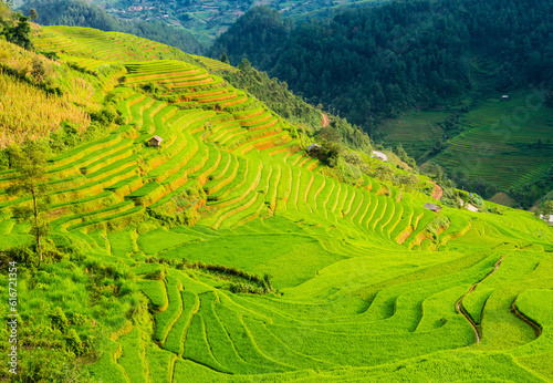 Amazing landscape with terraced rice field in the mountains of Mu Cang Chai  Yen Bai Province  northern Vietnam 