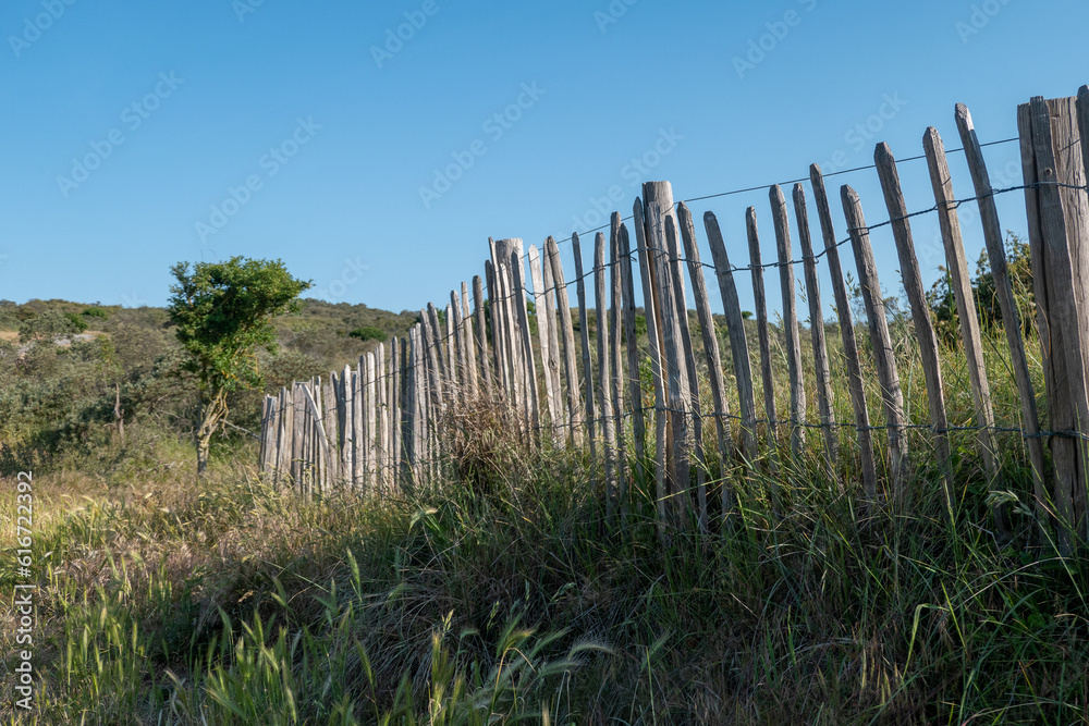 Dünenlandschaft Dünenlandschaft