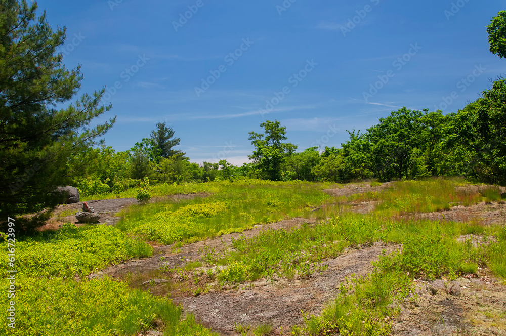 great mountain forest trail caanan connecticut great mountain forest trail caanan connecticut