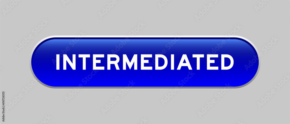 Fototapeta premium Blue color capsule shape button with word intermediated on gray background