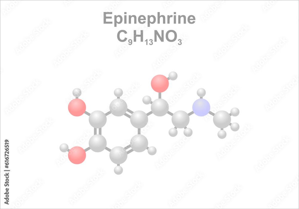Simplified scheme of the epinephrine molecule. Use as vasoconstrictor