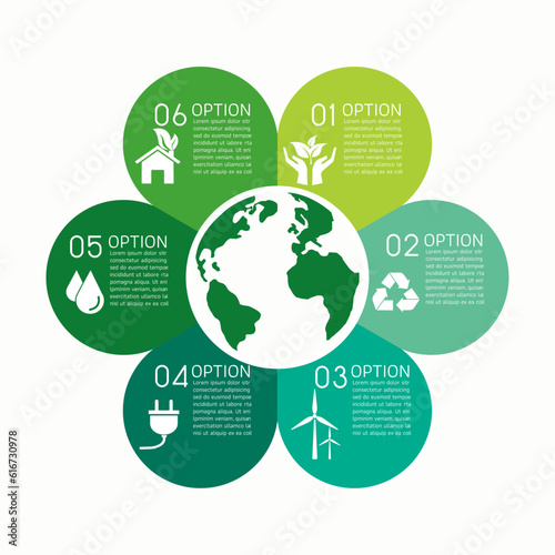 circle green leaves eco infographic on white background. green environment concept. Design elements templates for presentation with 6 options. vector illustration modern flat design.