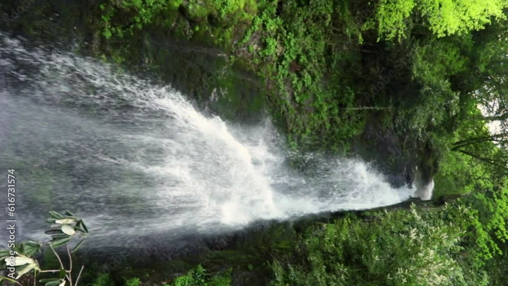 waterfall in a misty forest, water stream falls from above from a rock onto stones waterfall in a misty forest, water stream falls from above from a rock onto stones