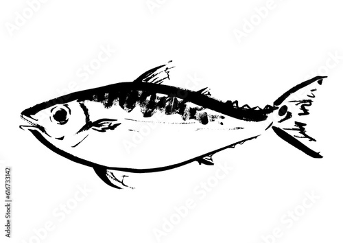 鯖の手描き和風イラスト和風素材