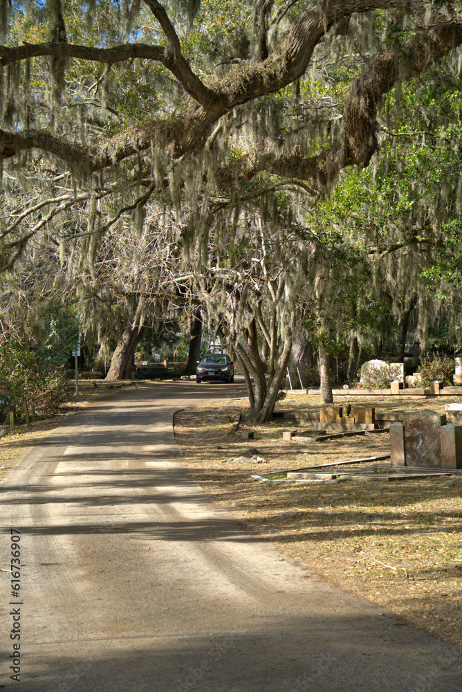 Bonaventure Cemetery is a rural cemetery located on a scenic bluff of the Wilmington River, east of Savannah, Georgia.[