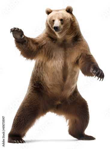 dancing grizzly bear standing, isolated background. Generative Ai photo